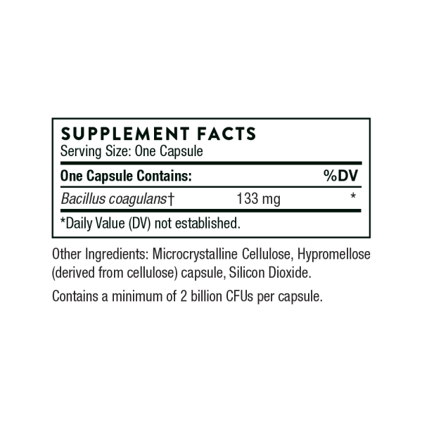 Bacillus Coagulans ingredients