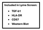 Lyme Bundle tests